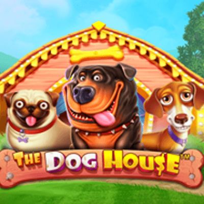 Dog House
